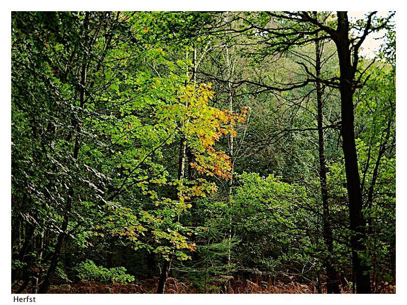 herfst