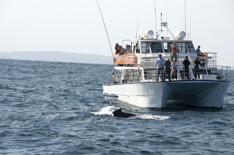 Creative commons licentie. Fotograaf Bradjward