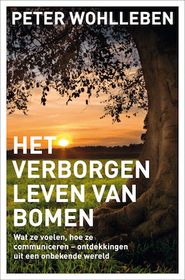 Het verborgen leven van bomen