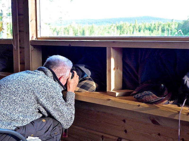 Observatiehut fotograferen beren spotten in Finland