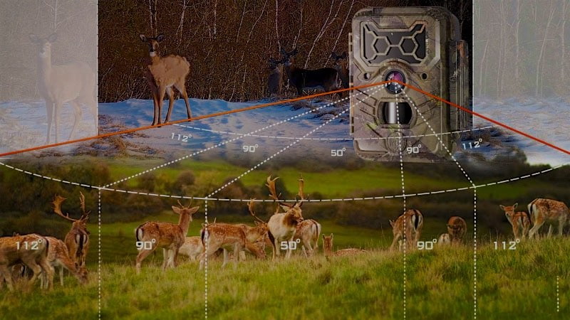 wildcamera-field-of-view-beeldhoek