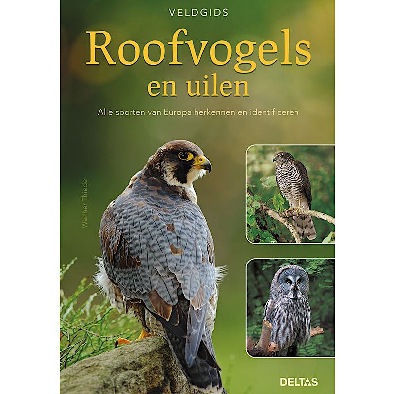 veldgids-roofvogels-en-uilen