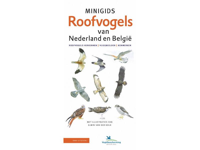 Mini roofvogelgids