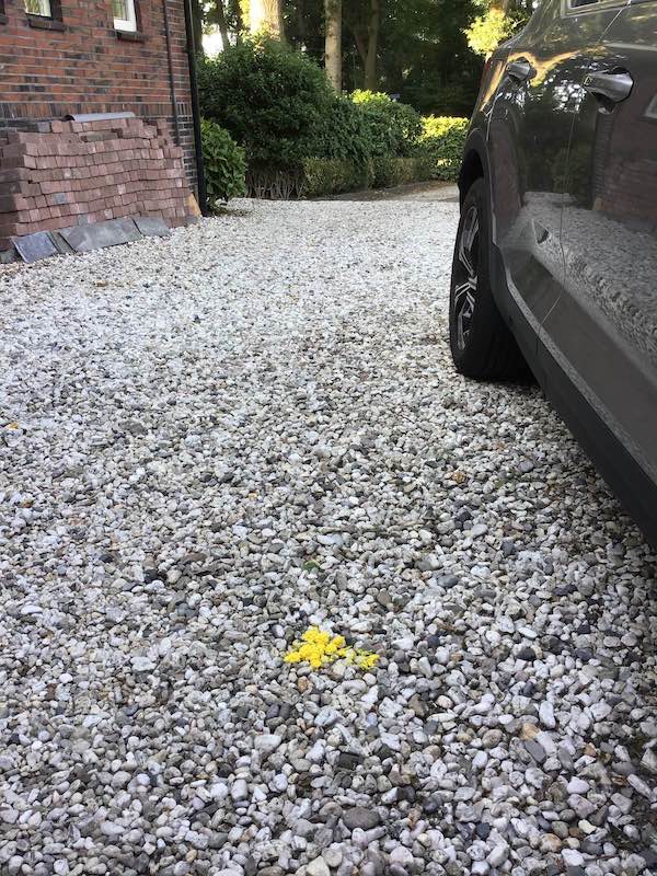 Heksenboter op grindpad