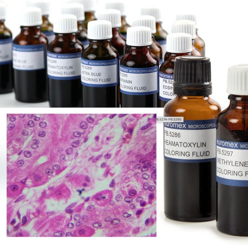 Kleurstoffen voor microscopie