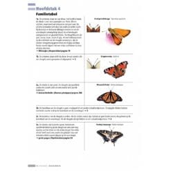 KNNV Veldgids Dagvlinders