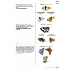 KNNV Veldgids Dagvlinders