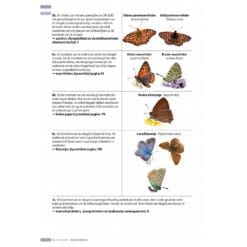KNNV Veldgids Dagvlinders