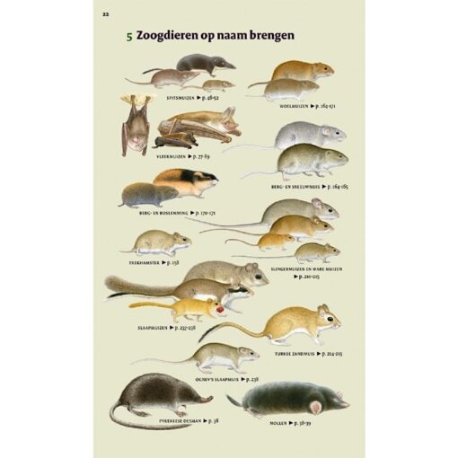 KNNV Veldgids Europese zoogdieren