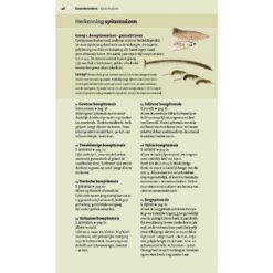 KNNV Veldgids Europese zoogdieren