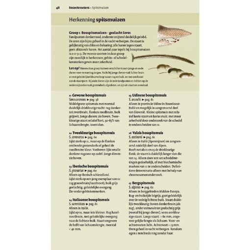KNNV Veldgids Europese zoogdieren