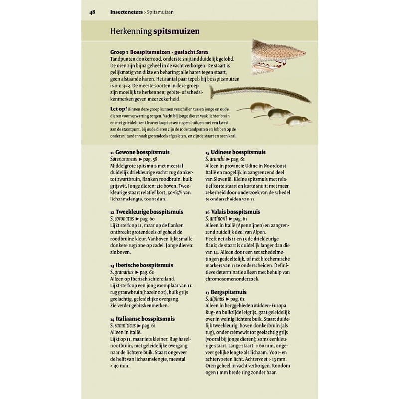 KNNV Veldgids Europese zoogdieren