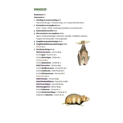 KNNV Veldgids Europese zoogdieren