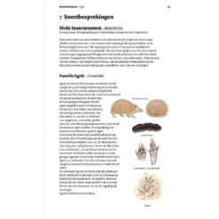KNNV Veldgids Europese zoogdieren