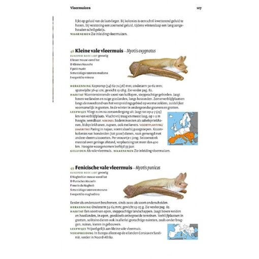KNNV Veldgids Europese zoogdieren
