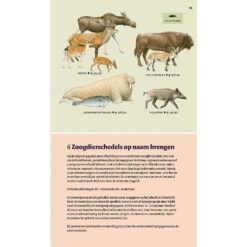 KNNV Veldgids Europese zoogdieren