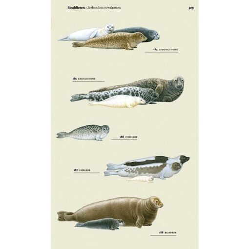 KNNV Veldgids Europese zoogdieren