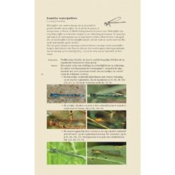 KNNV Veldgids Libellen