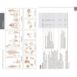 Veldgids Nederlandse Flora