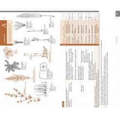 Veldgids Nederlandse Flora