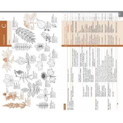 Veldgids Nederlandse Flora