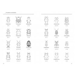 KNNV Veldgids Kevers