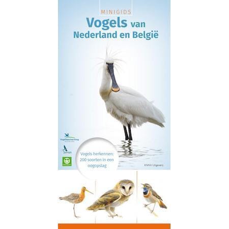 Minigids vogels van Nederland en België