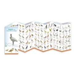 Alternative view of Minigids vogels van Nederland en België