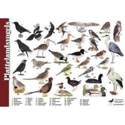 Herkenningskaart Plattelandvogels