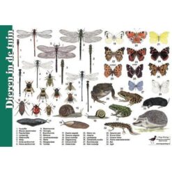 Herkenningskaart Dieren in de tuin