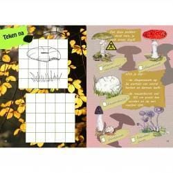 Doeboekje speuren naar paddenstoelen - Afbeelding 2