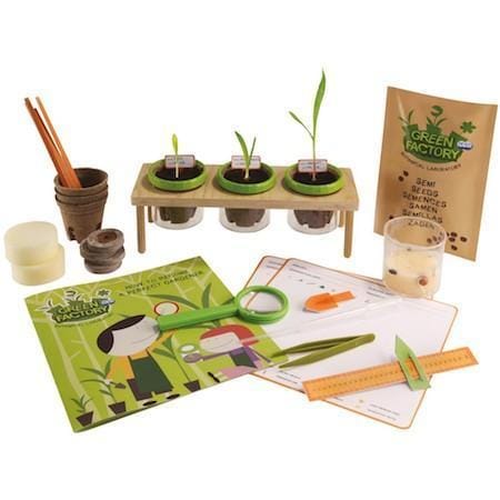 Navir Green Factory - Afbeelding 3