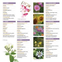Alternative view of Minigids eetbare bloemen