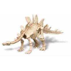 Alternative view of 4M Graaf je Stegosaurus