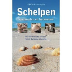 Deltas natuurgids schelpen verzamelen en herkennen