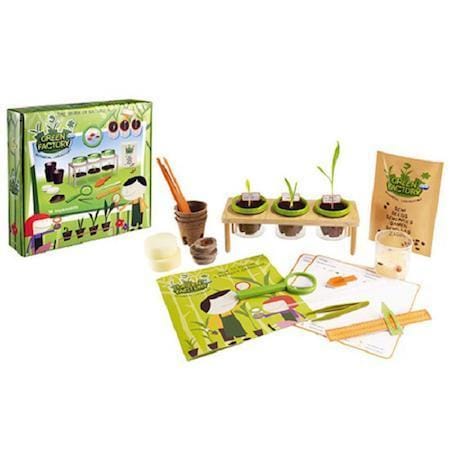 Navir Green Factory - Afbeelding 2