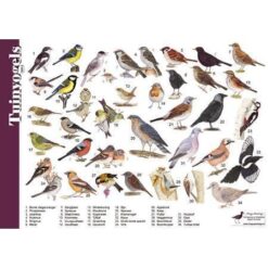 Herkenningskaart Tuinvogels