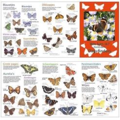 Wie ben ik? Dagvlinders