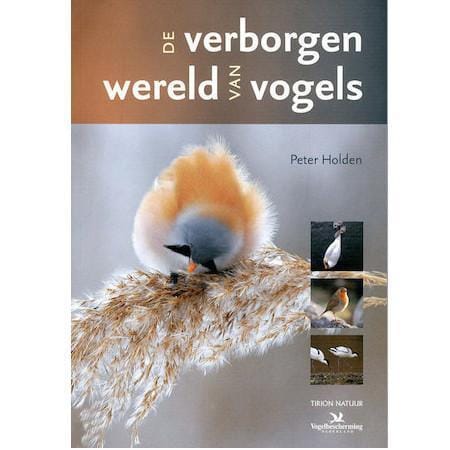 De verborgen wereld van Vogels
