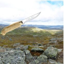 Scandinavische messen