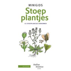 Minigids_Stoepplantjes