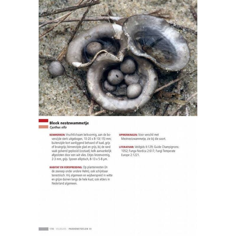 KNNV Veldgids Paddenstoelen Deel 3