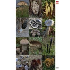 KNNV Veldgids Paddenstoelen Deel 3