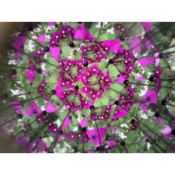 Kikkerland Huckleberry Caleidoscoop