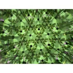 Kikkerland Huckleberry Caleidoscoop