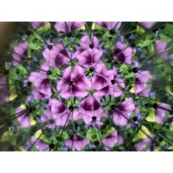 Kikkerland Huckleberry Caleidoscoop