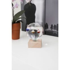 Kikkerland Galileo Thermometer