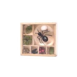 kikkerland-huckleberry-bug-box