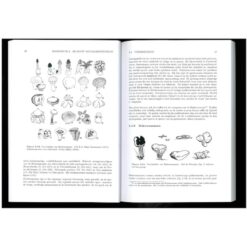 Basisboek Paddenstoelen