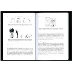 Basisboek Paddenstoelen